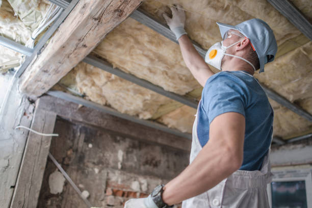 Best DIY Insulation Kits and Guidance in Granville, WV