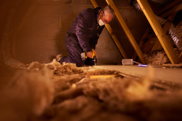 Best Eco-Friendly Insulation in Granville, WV